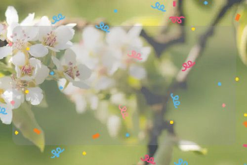 蝃蝀