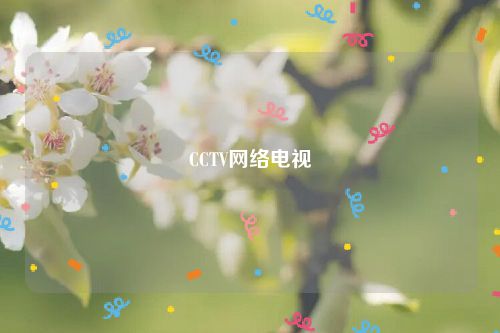 CCTV网络电视