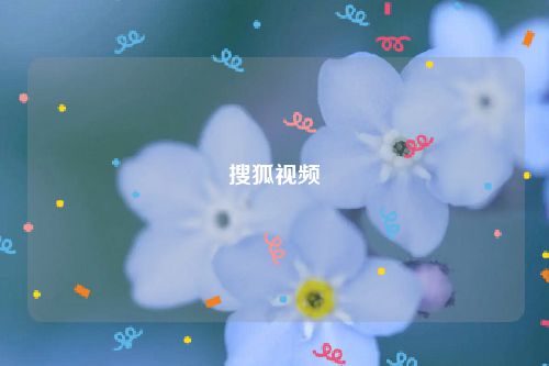 搜狐视频