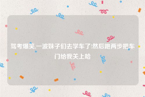 驾考爆笑,一波妹子们去学车了!然后跑两步把车门给我关上哈
